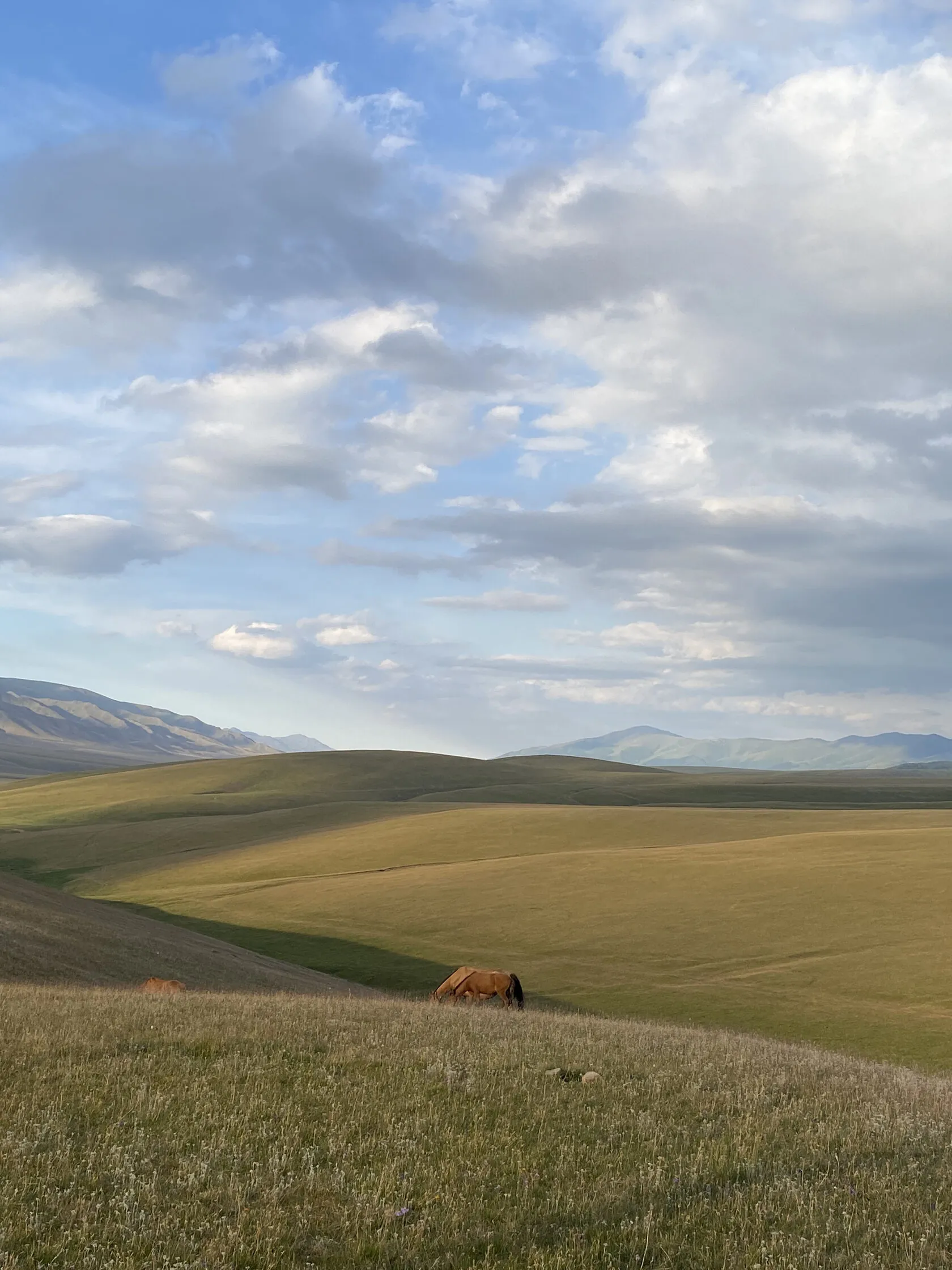 Плато Ассы — высокогорная равнина с видом на горы — 2