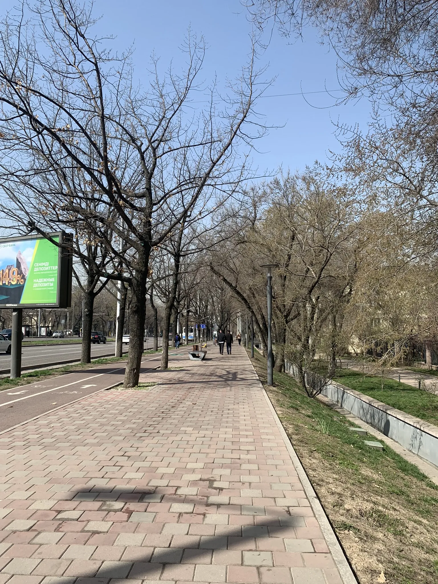 Алматы в апреле — первая зелень и цветение