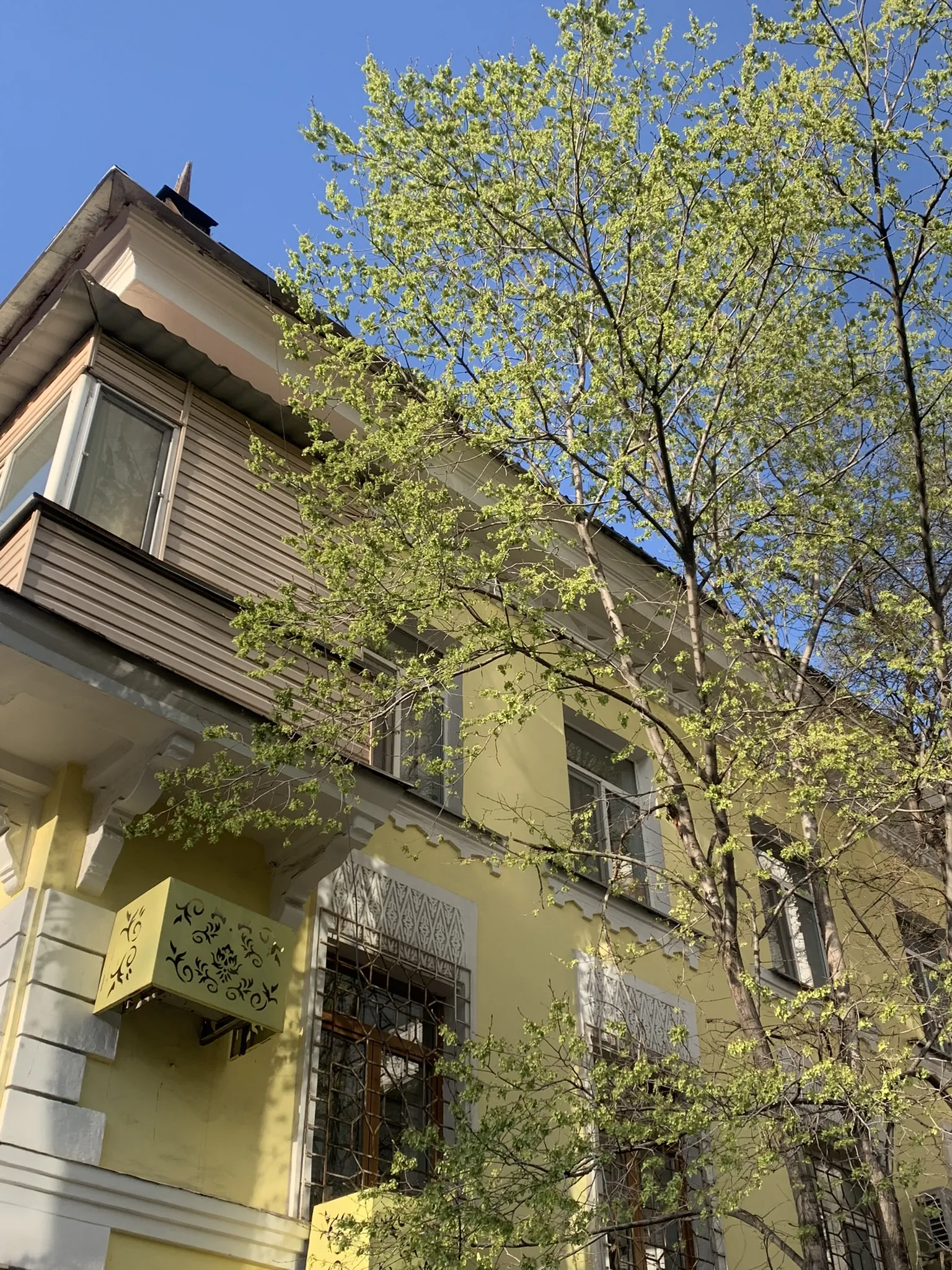 Алматы в апреле — первая зелень и цветение — 3