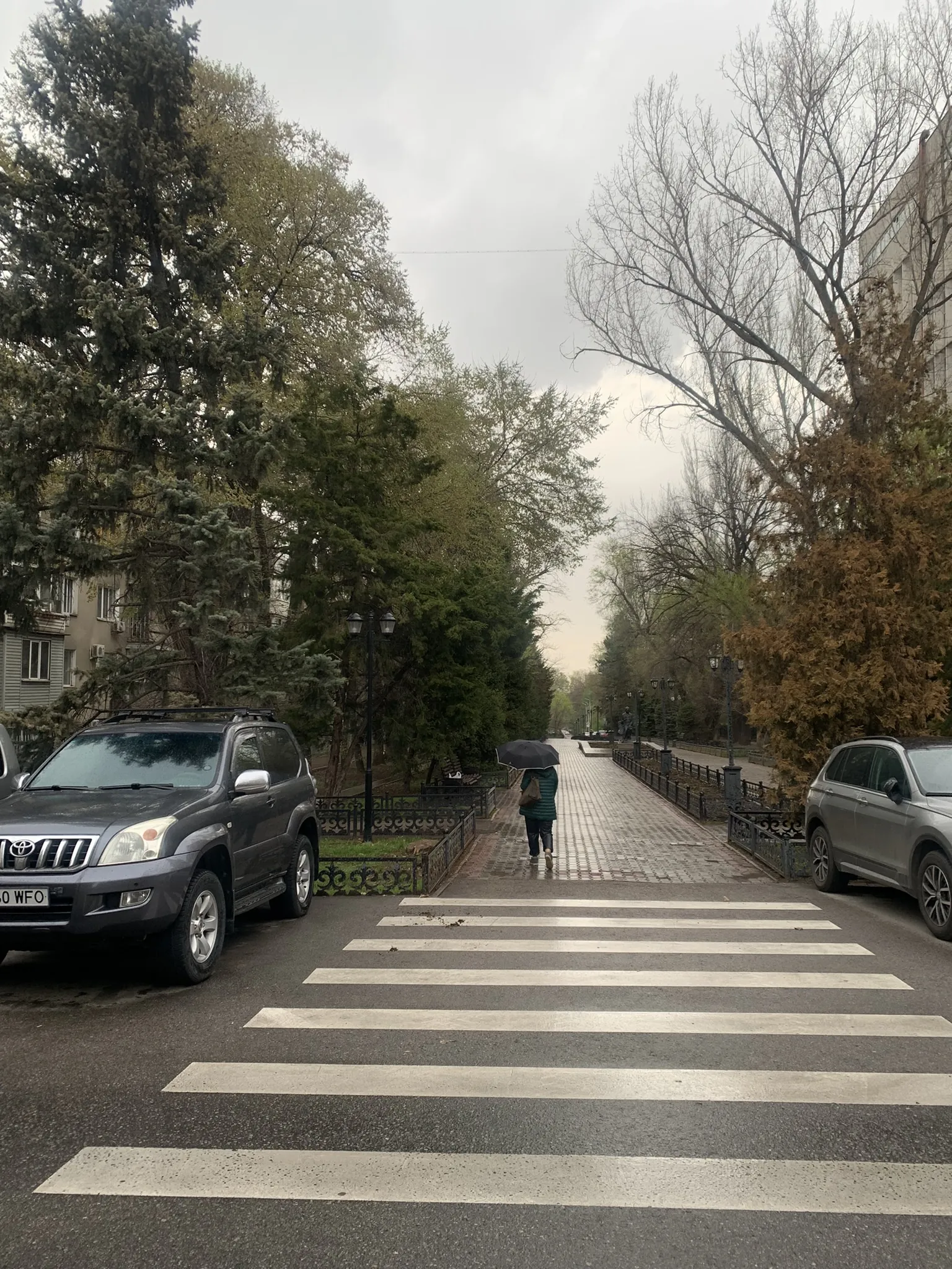 Алматы в апреле — первая зелень и цветение — 4