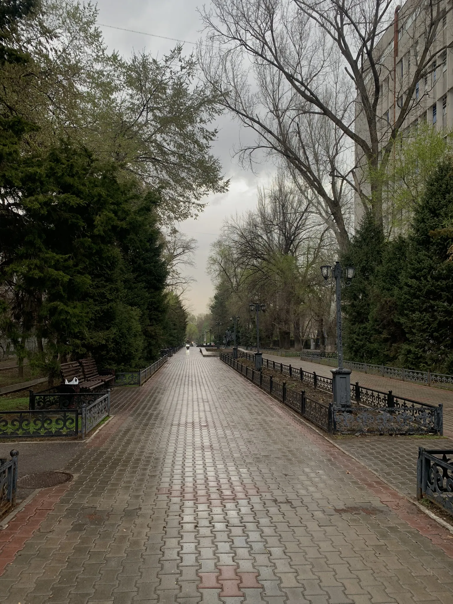 Алматы в апреле — первая зелень и цветение — 5