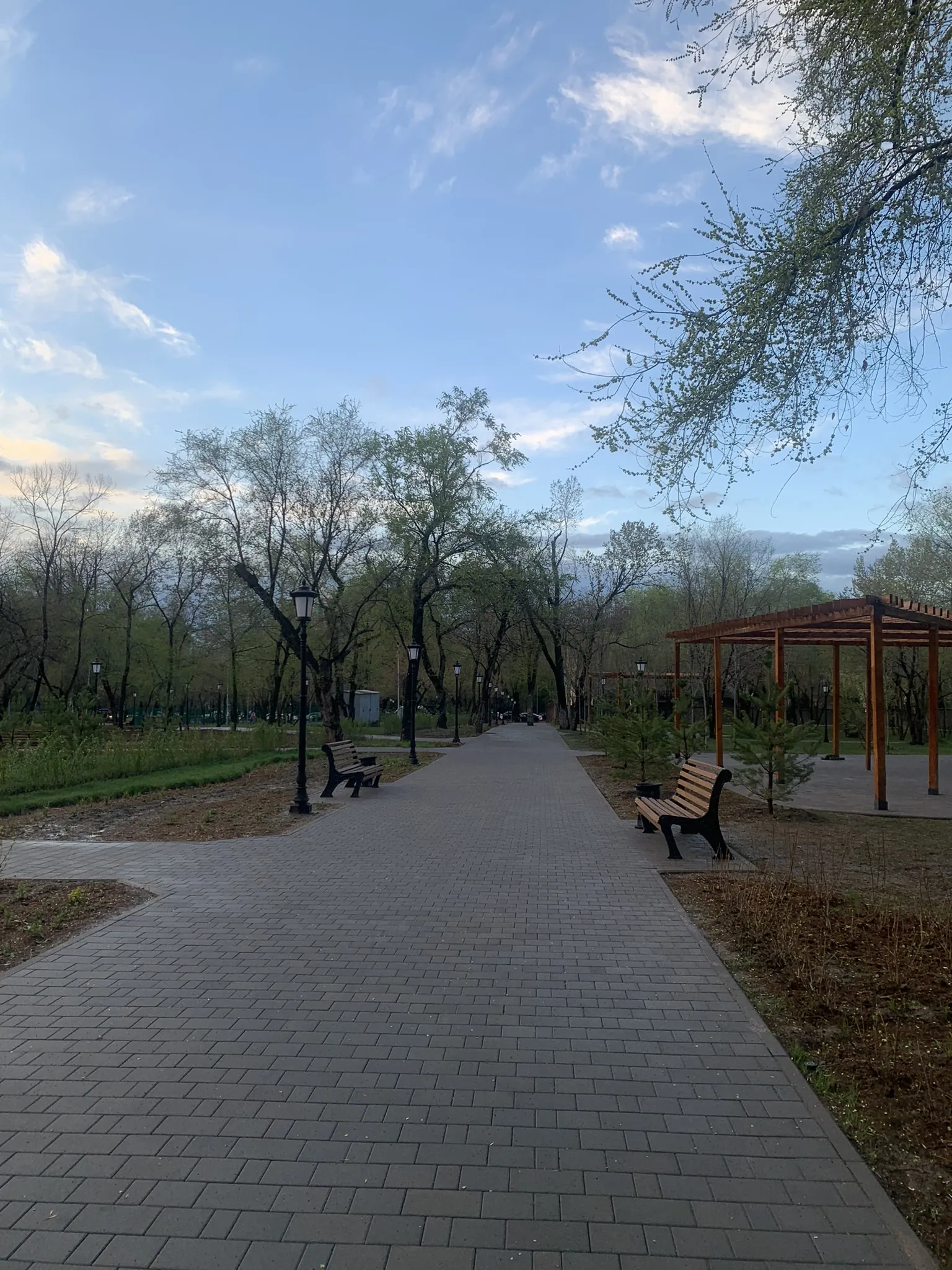 Алматы в апреле — первая зелень и цветение — 6