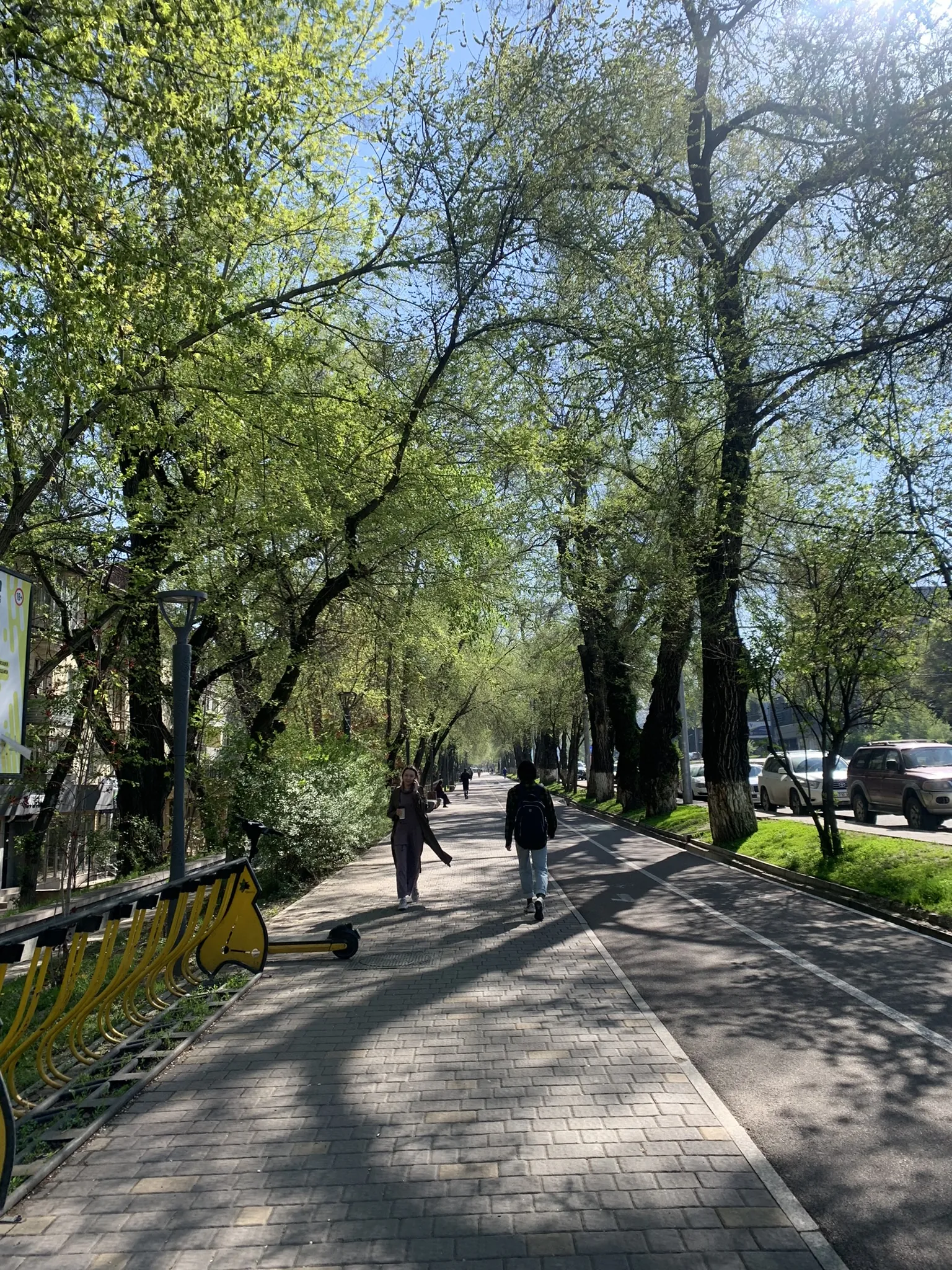 Алматы в апреле — первая зелень и цветение — 9