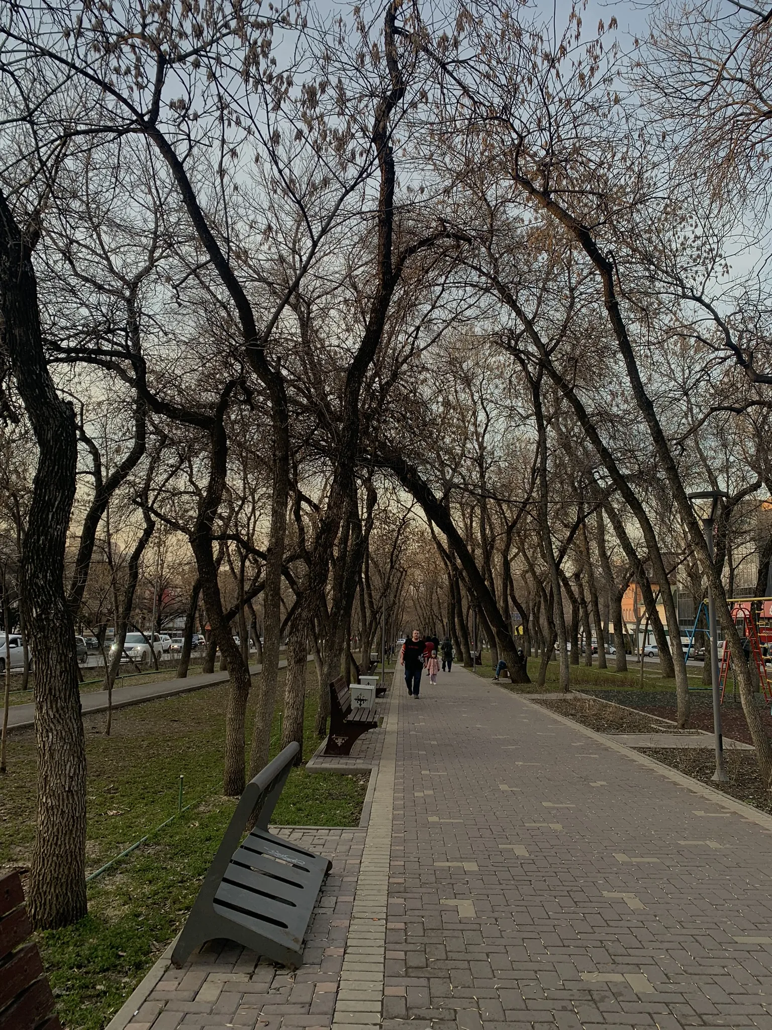 Алматы в марте — город ещё серый, но уже просыпается