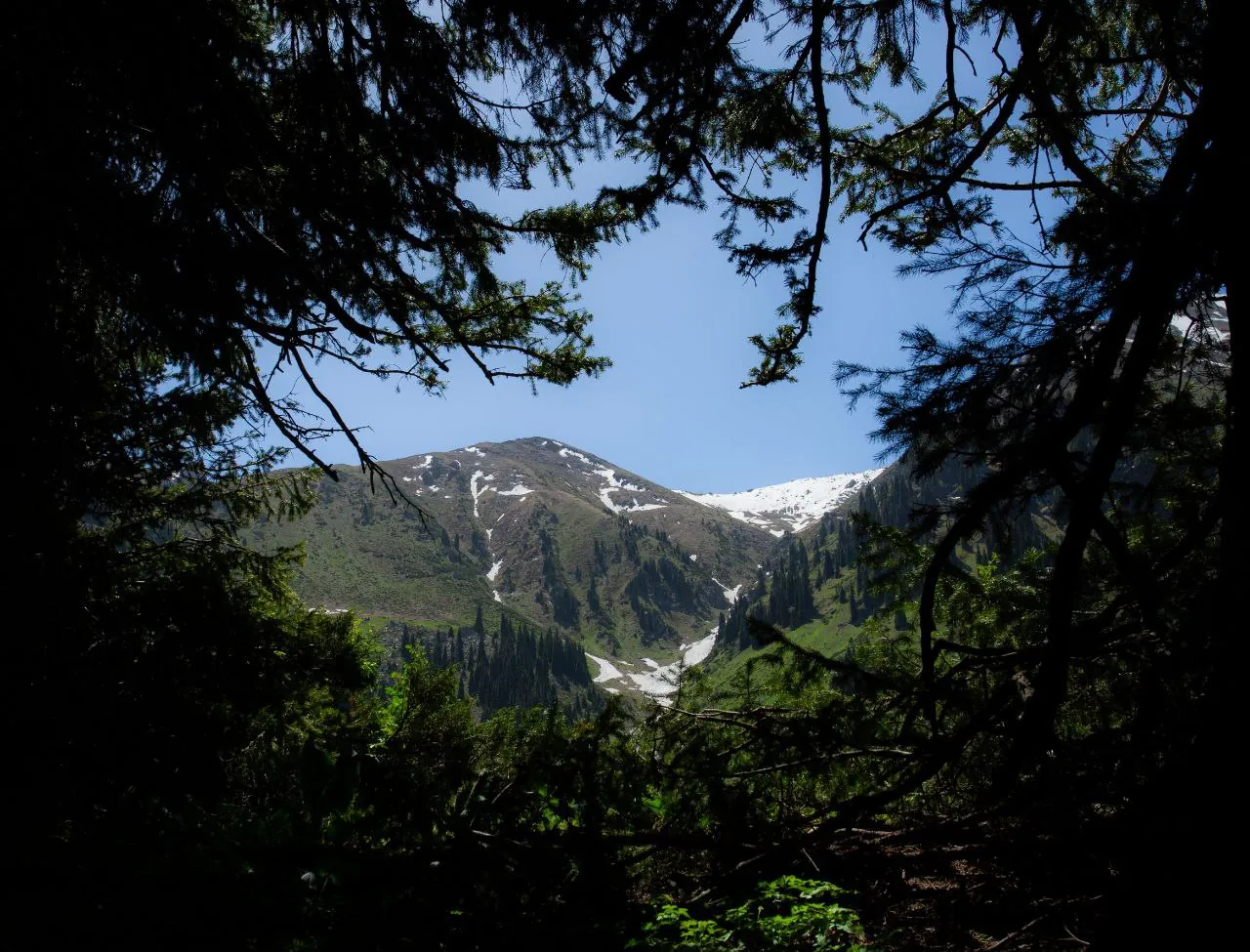 Горные тропы под Алматы в мае — зелень и тающий снег — 2