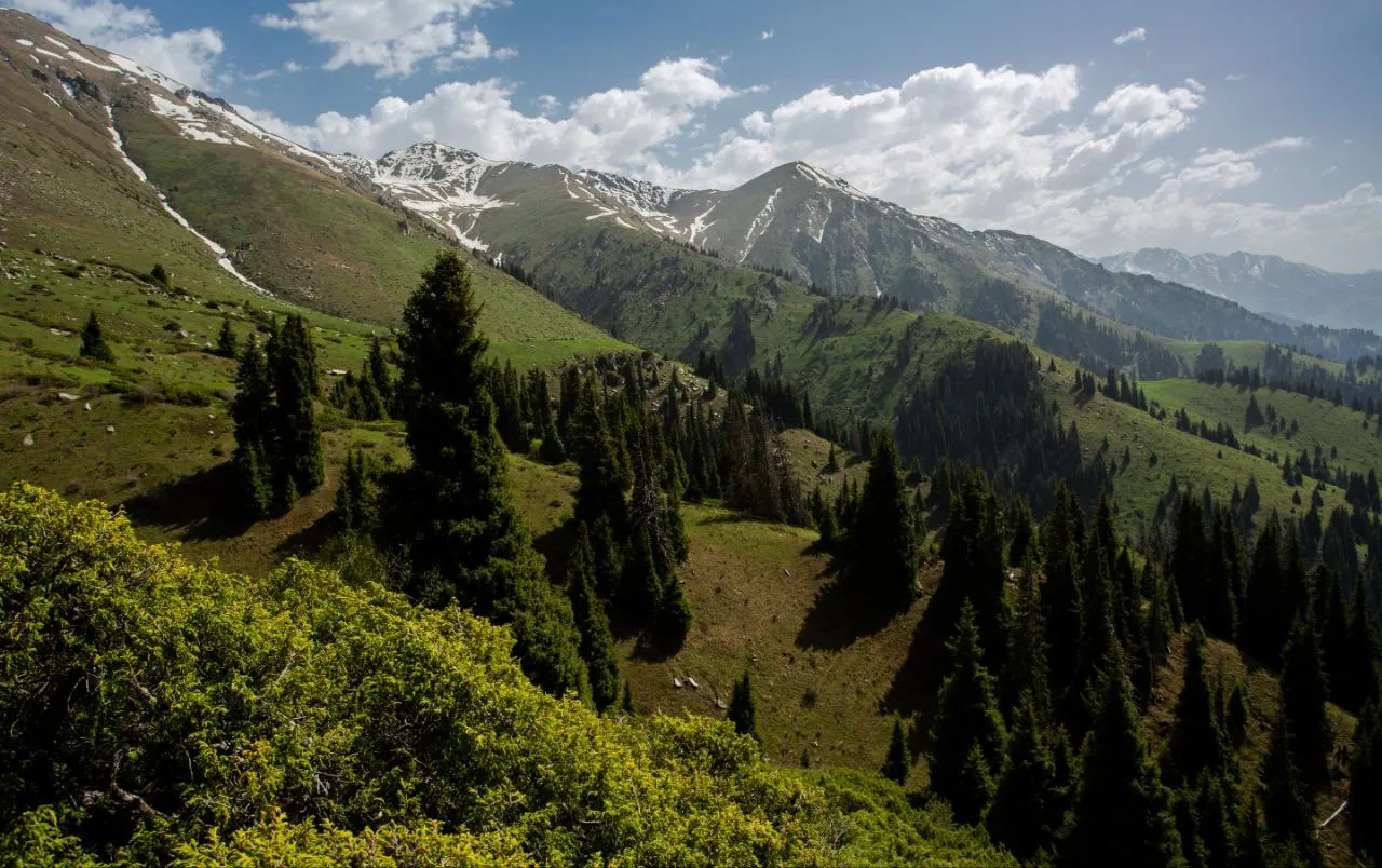 Горные тропы под Алматы в мае — зелень и тающий снег — 5