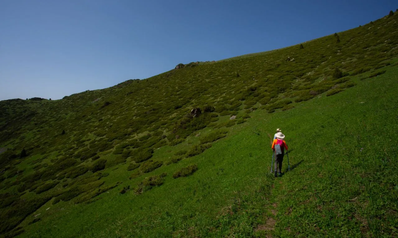 Горные тропы под Алматы в мае — зелень и тающий снег — 6