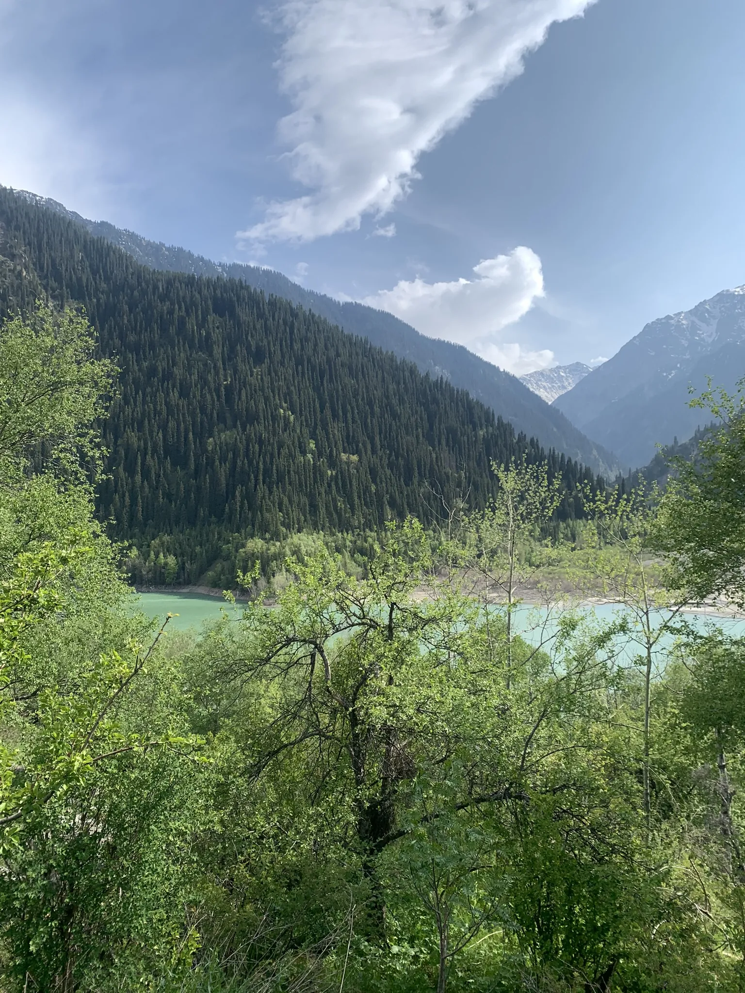 Озеро Иссык — горное озеро в ельнике под Алматы — 3