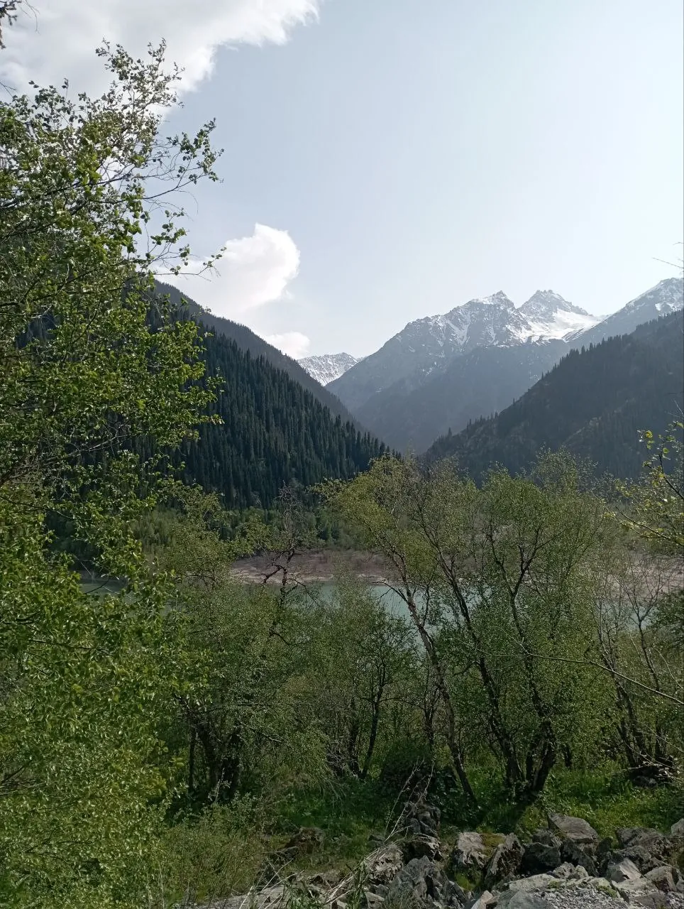 Озеро Иссык — горное озеро в ельнике под Алматы — 5