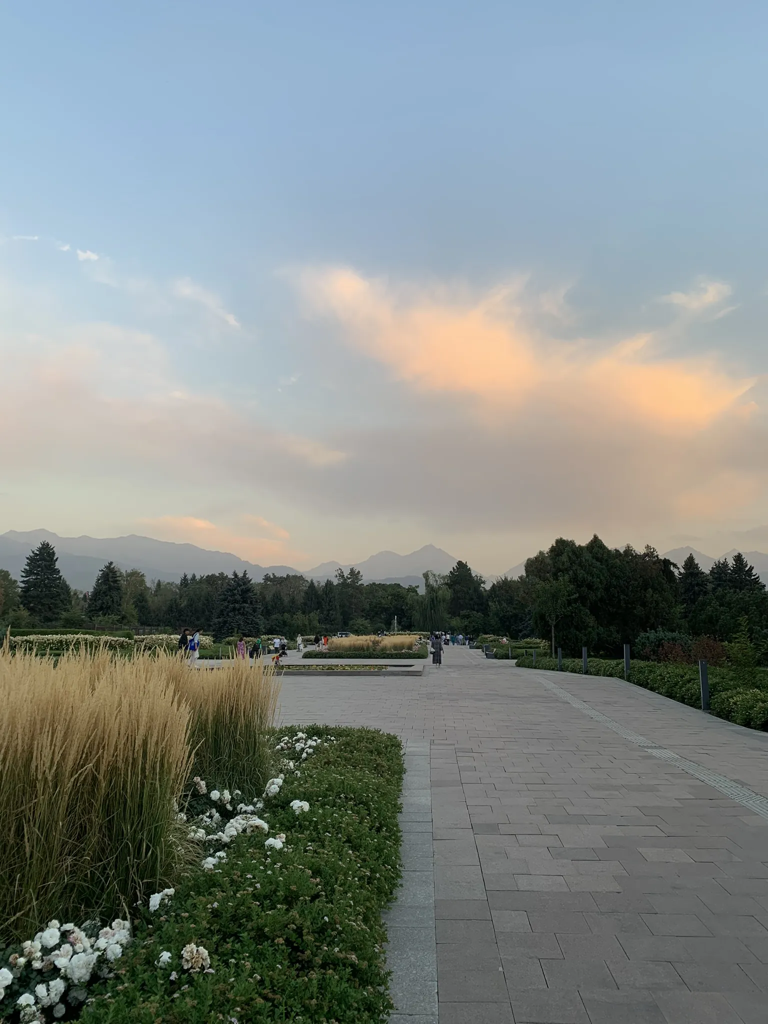 Ботанический сад Алматы — аллеи и цветники