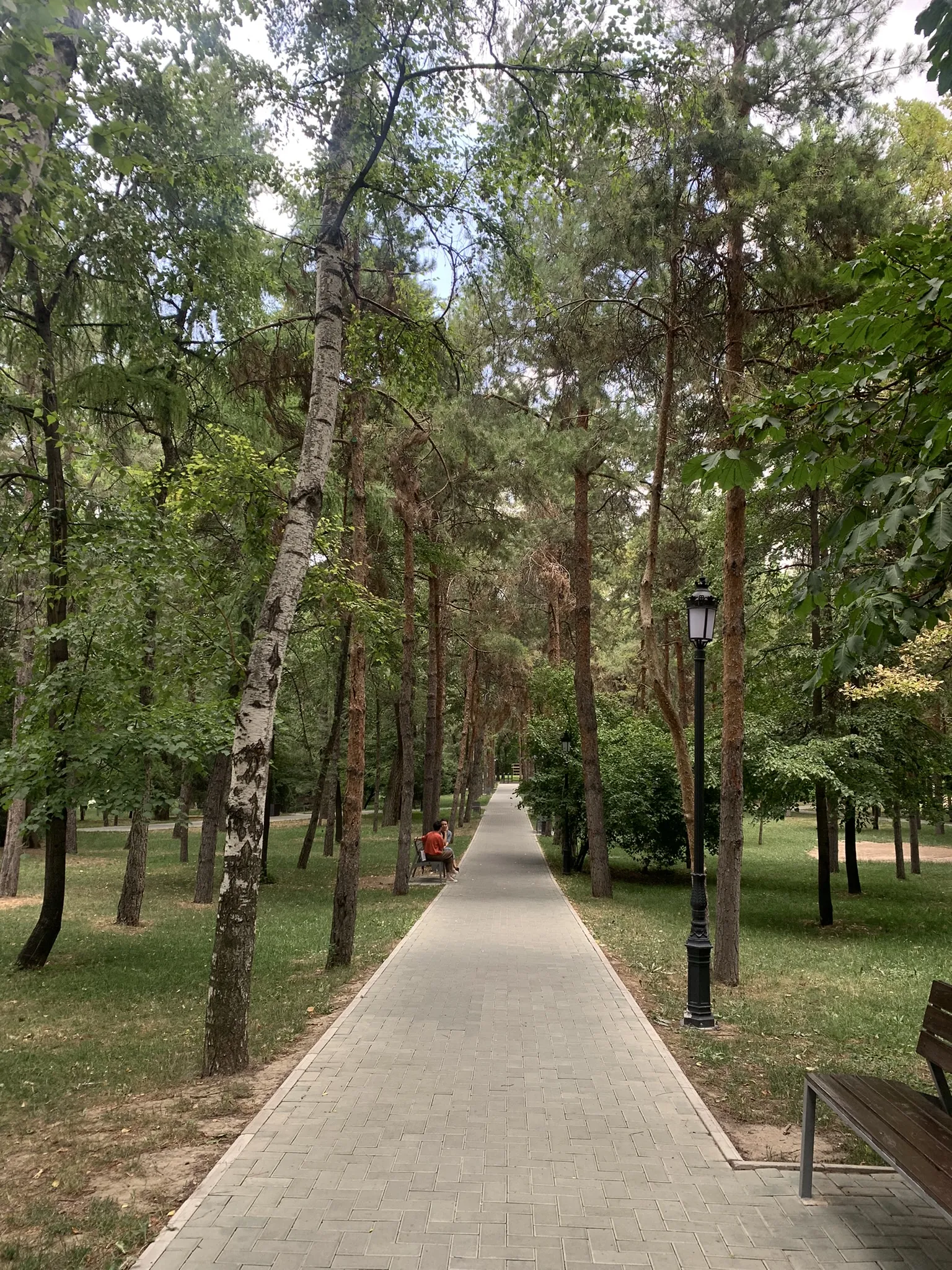 Ботанический сад Алматы — аллеи и цветники — 3