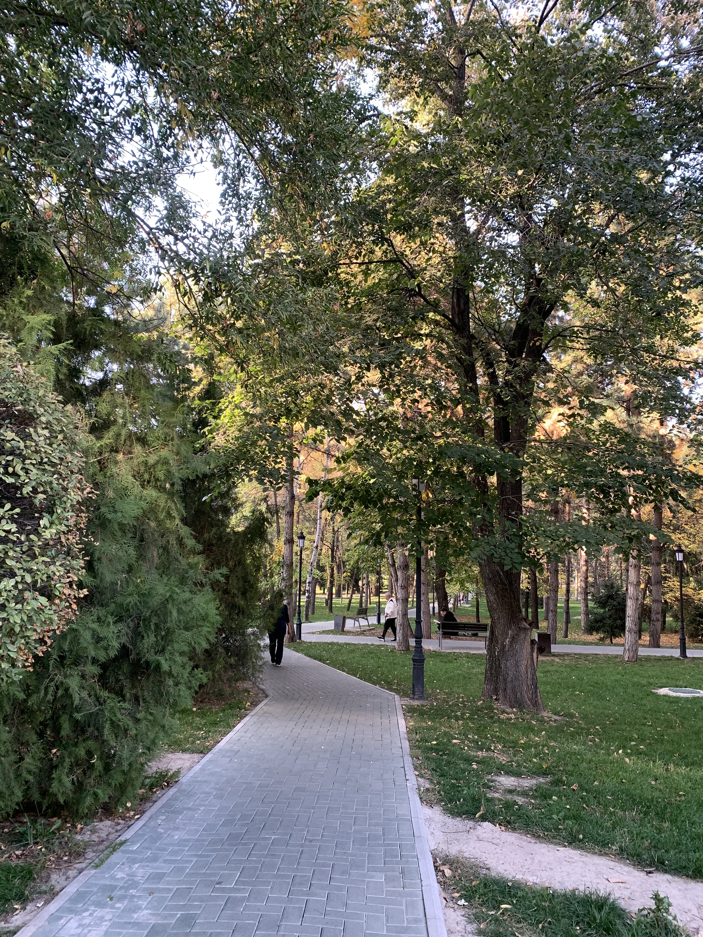 Ботанический сад Алматы — аллеи и цветники — 4