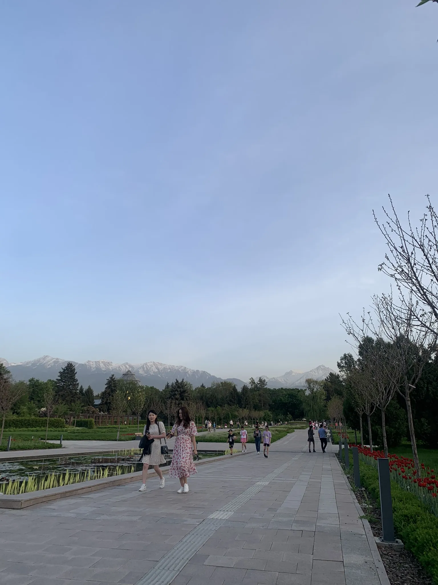 Ботанический сад Алматы — аллеи и цветники — 7