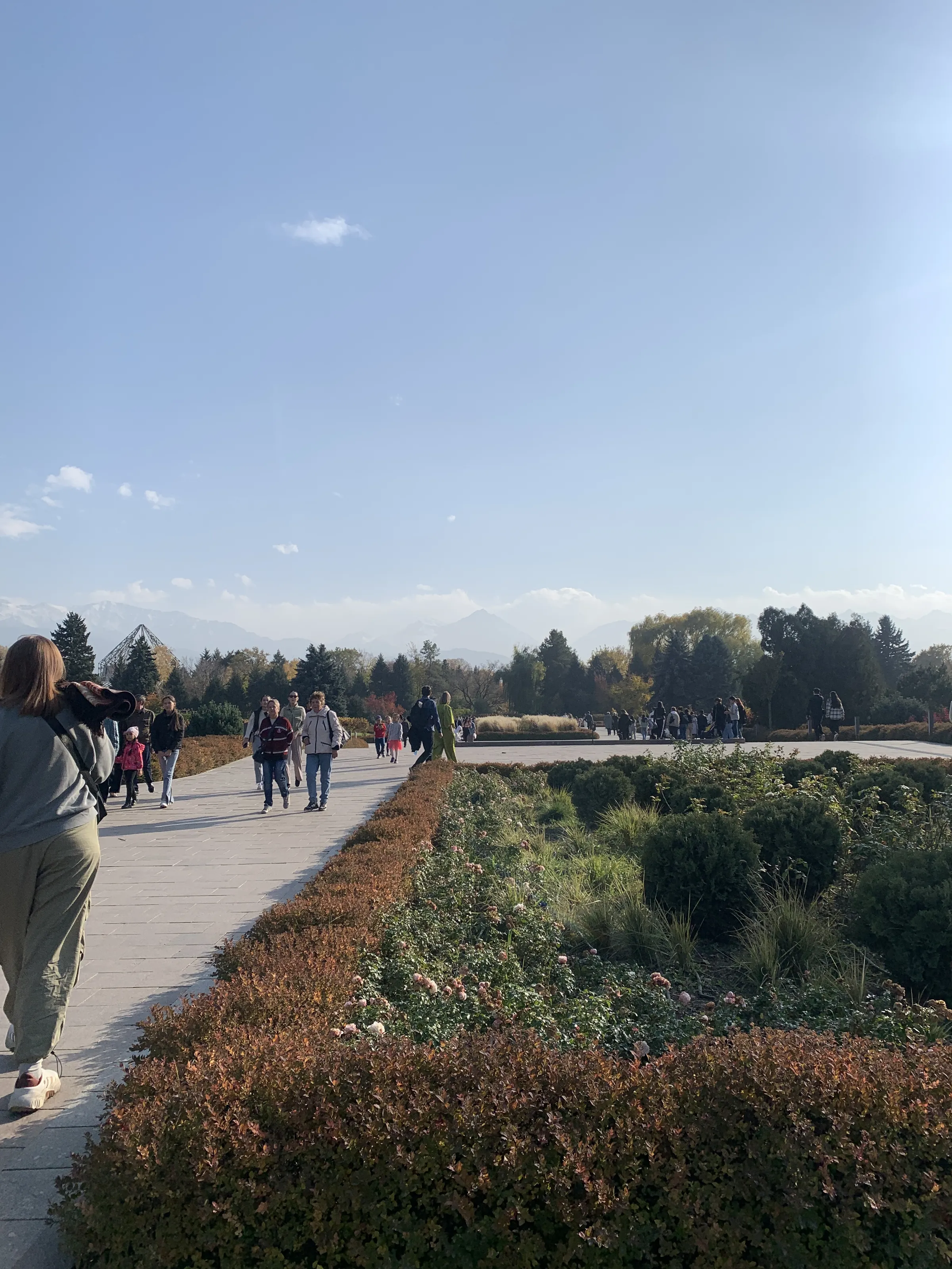 Ботанический сад Алматы — аллеи и цветники — 8