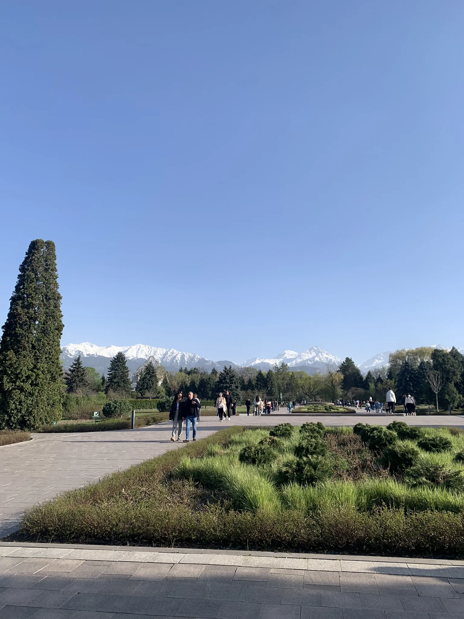 Ботанический сад Алматы — аллеи и цветники — 10