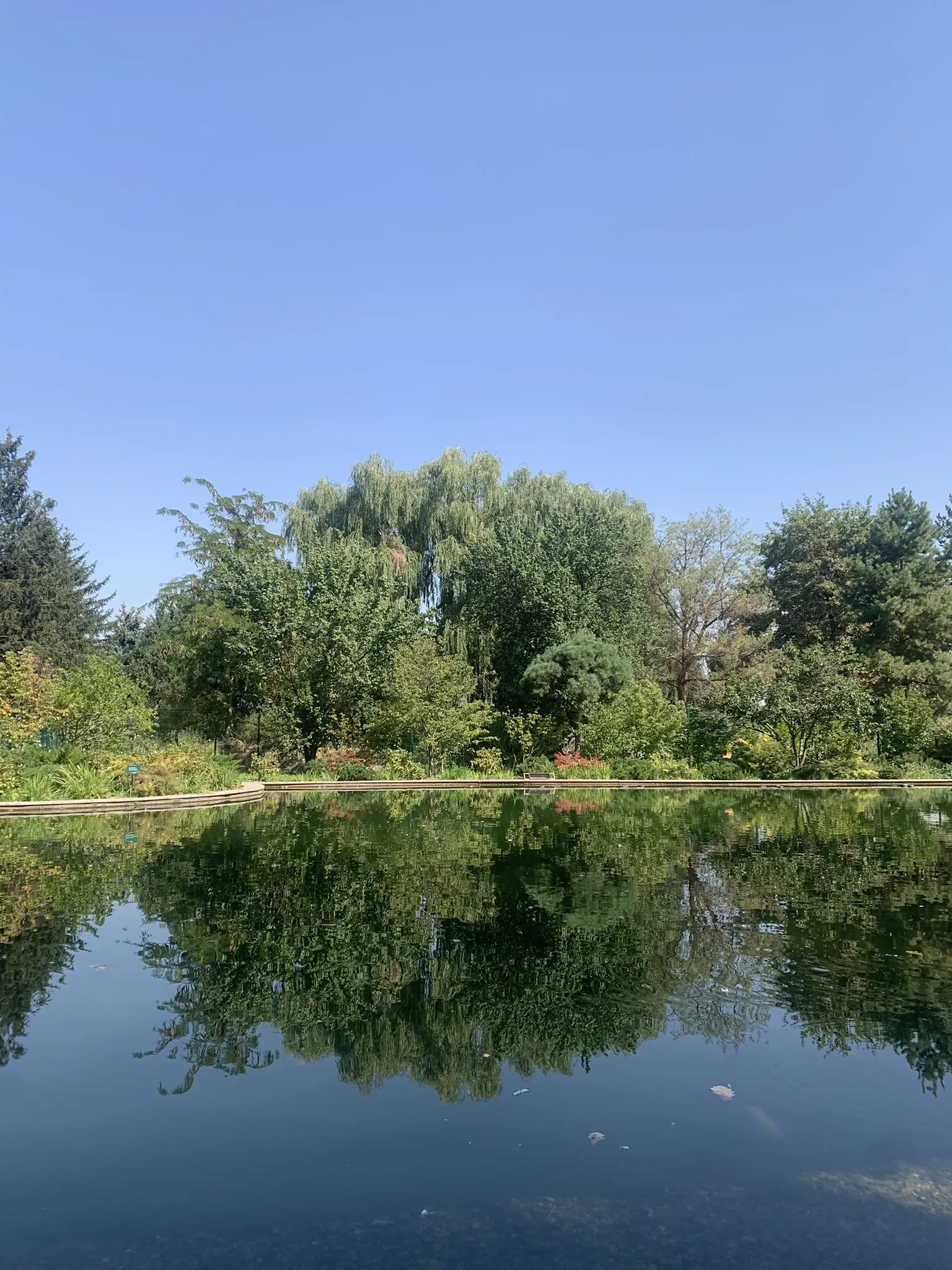 Ботанический сад Алматы — аллеи и цветники — 13