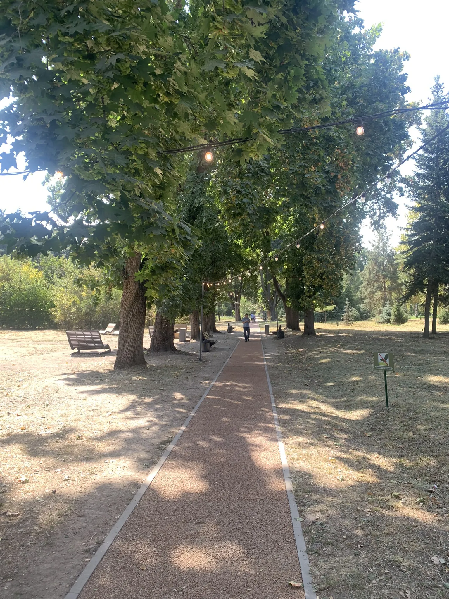 Ботанический сад Алматы — аллеи и цветники — 14