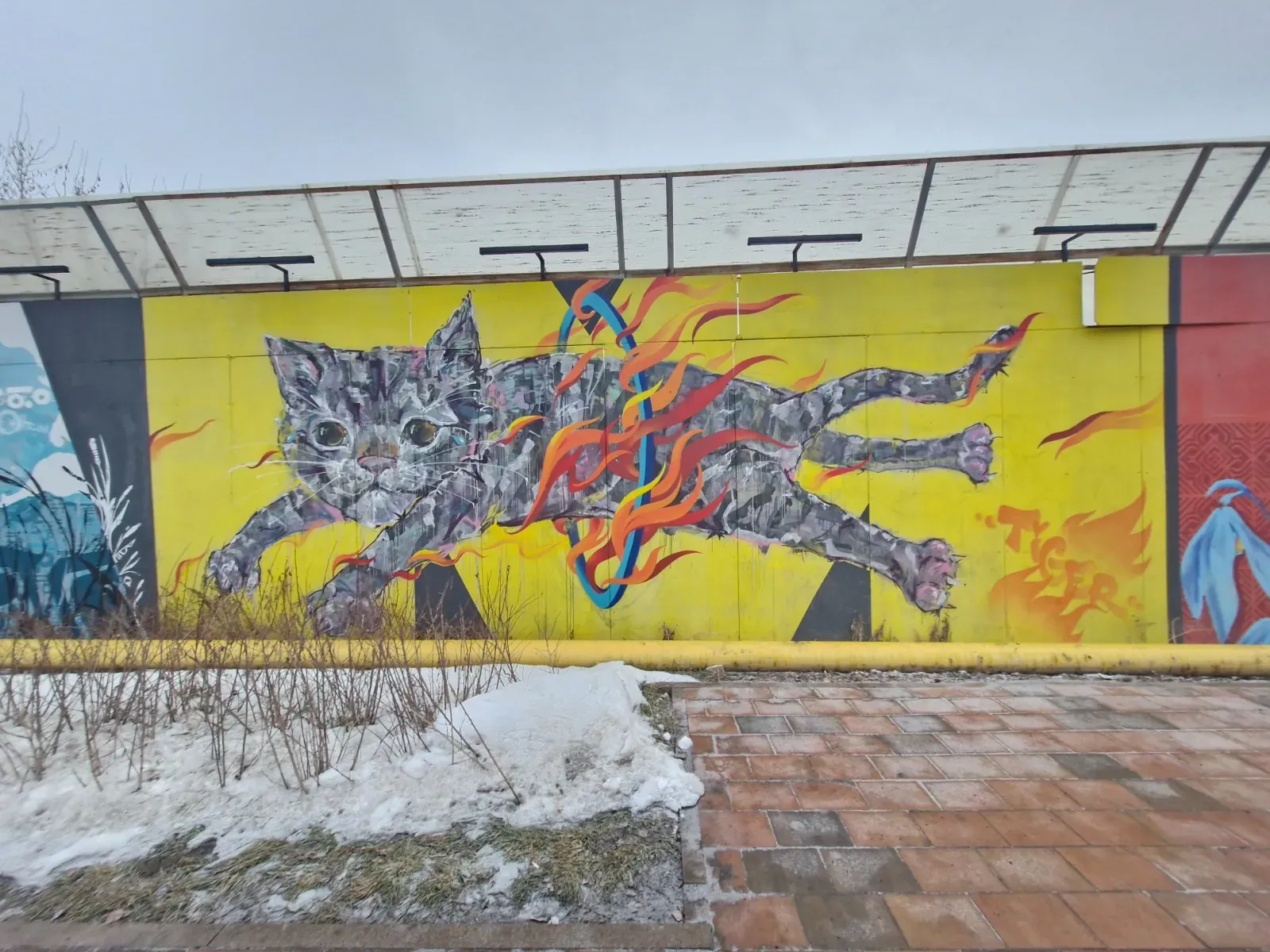 Граффити-стена на улице Оспанова — 420 метров стрит-арта в Алматы