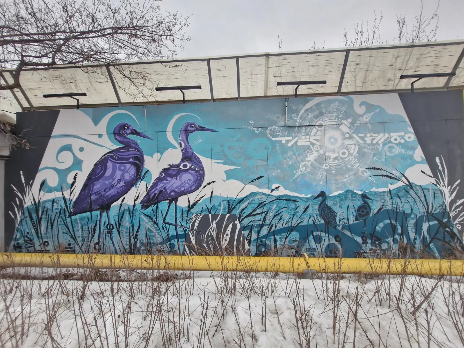 Граффити-стена на улице Оспанова — 420 метров стрит-арта в Алматы — 2