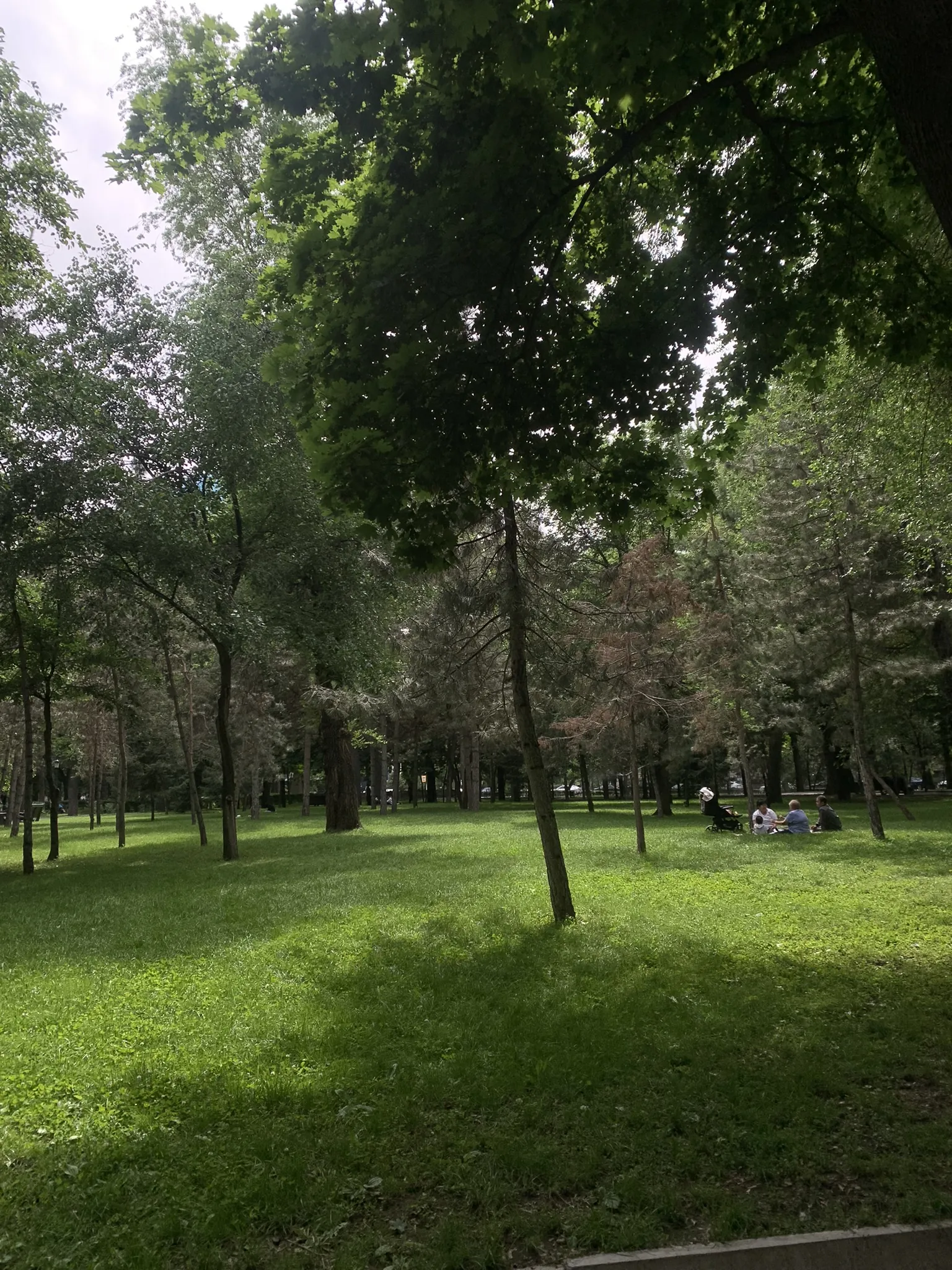 Парк 28 панфиловцев и деревянный Вознесенский собор в Алматы — 4