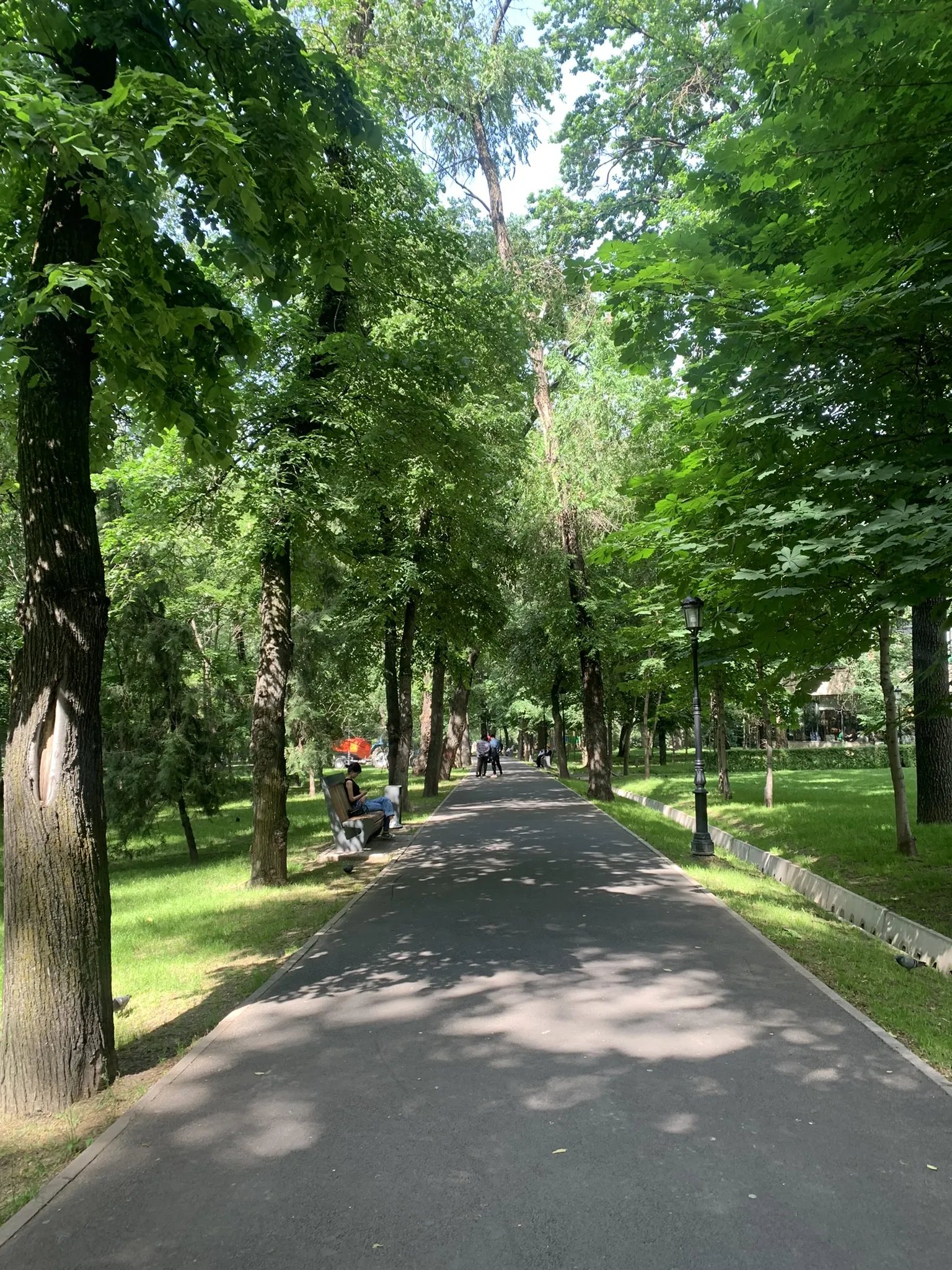 Парк 28 панфиловцев и деревянный Вознесенский собор в Алматы — 6