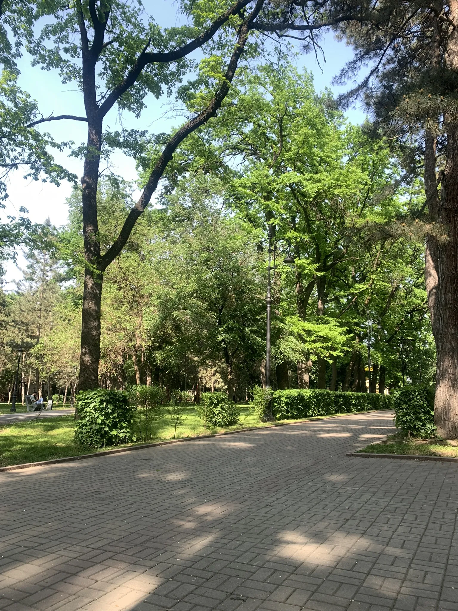 Парк 28 панфиловцев и деревянный Вознесенский собор в Алматы — 7