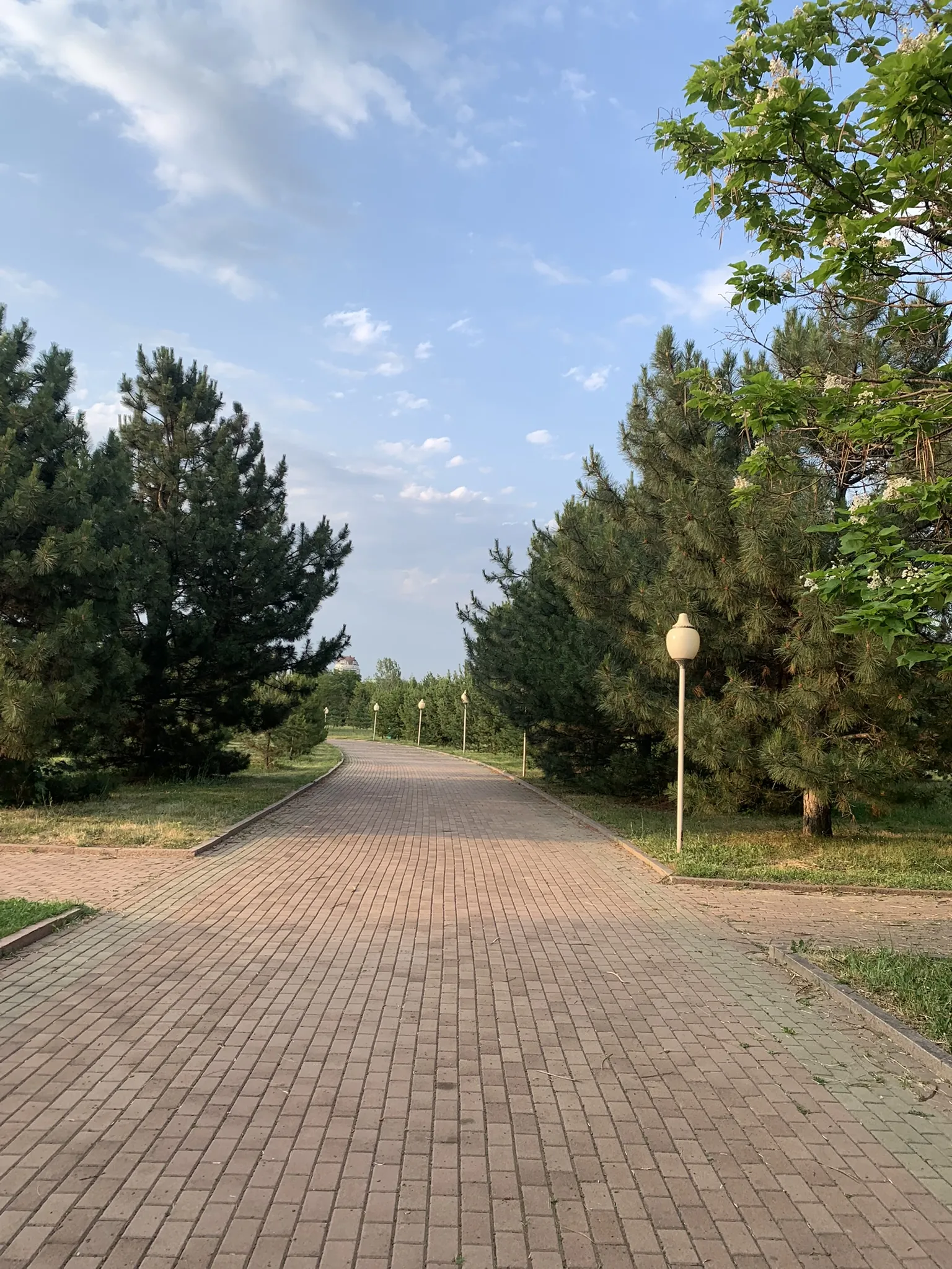 Парк Первого Президента — японский сад и смотровая площадка в Алматы — 2