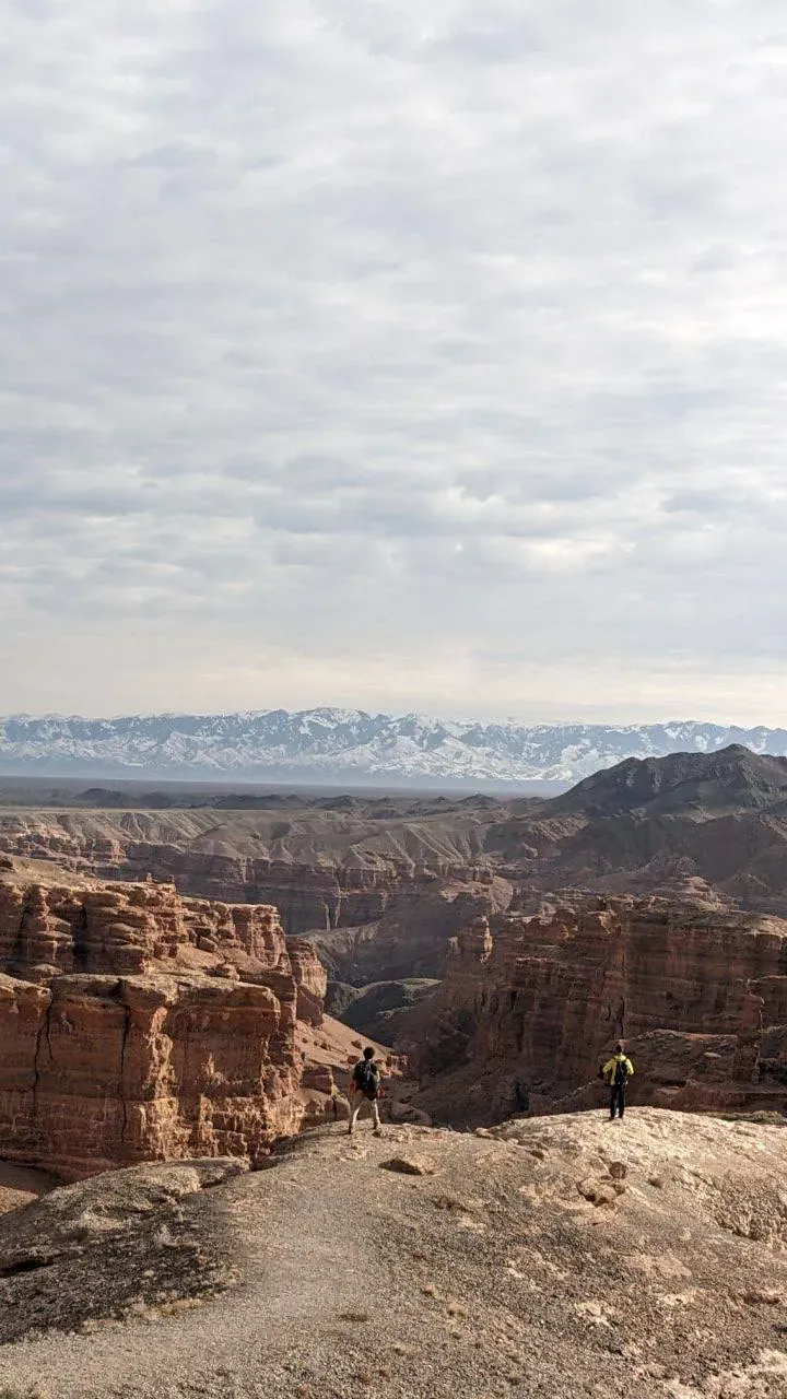 Wow-день — впечатления от природы